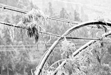 覆冰監(jiān)測(cè) 覆冰監(jiān)測(cè)